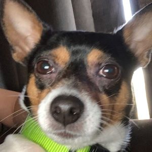 Meet your Posher, Patti